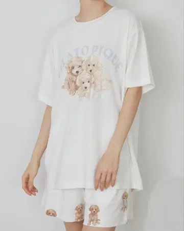 젤라또피케 토이 푸들 패턴 T셔츠 & dog 패턴 숏팬츠