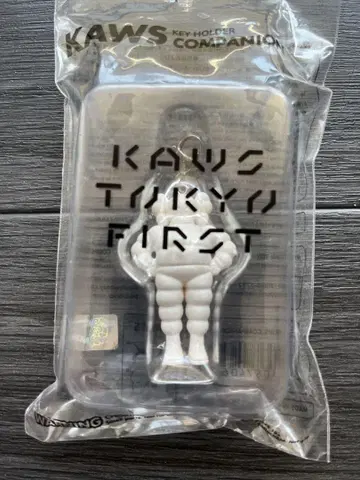 베어브릭 KAWS 카우스