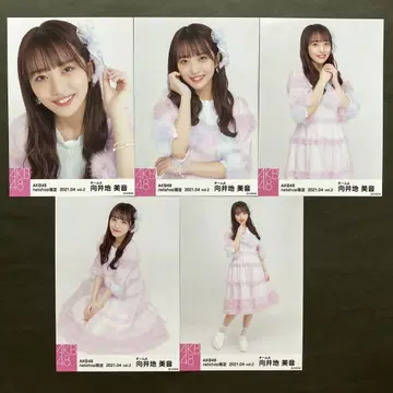 무카이 미네 AKB48 브로마이드 5장 컴프 101