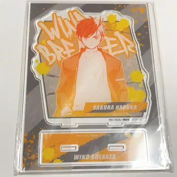 WIND BREAKER 뽑기 럭키 아크릴 스탠드 사쿠라 하루카