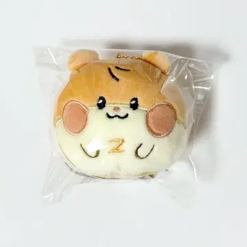 ZB1 제베원 zeroni 비니니 한빈 푹신푹신 페이스 키링