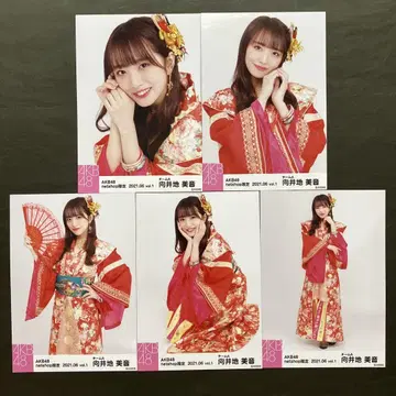 무카이 미네 AKB48 브로마이드 5장 컴프 104