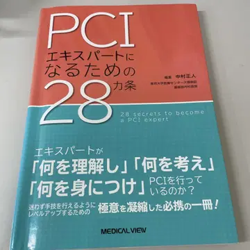 PCI 전문가가 되기 위한 28개 조항