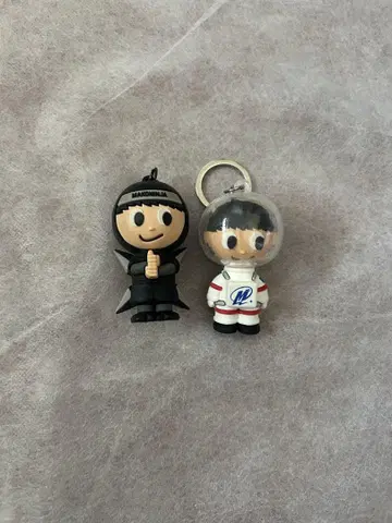 하세가와 신 프로