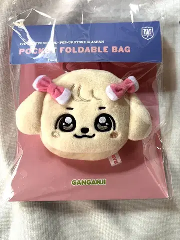 IVE 유진 minive popup 백