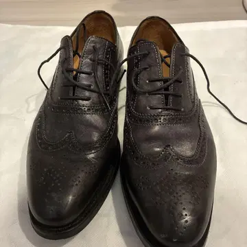 FRANCESCO BENIGNO 브라운 윙 팁 size 51/2