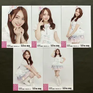 무카이 미네 AKB48 브로마이드 5장 컴프 101