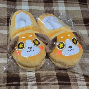 바보 사카타, 옆집 사카타 켄 짱 슬리퍼