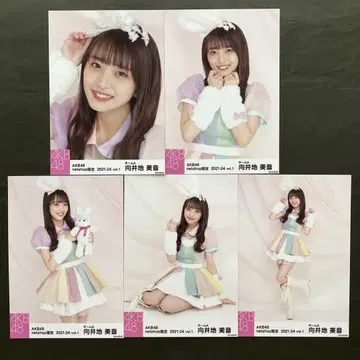 무카이 미네 AKB48 브로마이드 5장 컴프 117