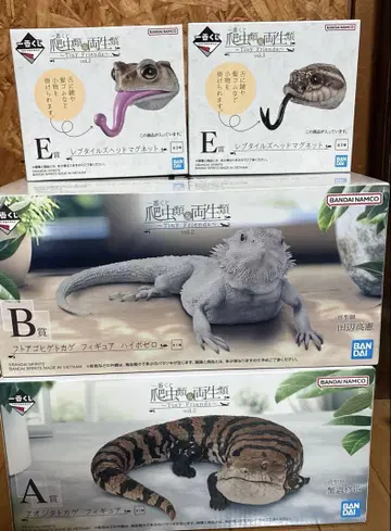 파충류 제일복권 아오지타 도마뱀 피규어