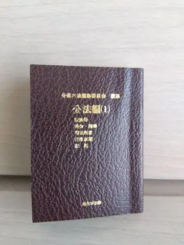 콩 육법 공법편(1)