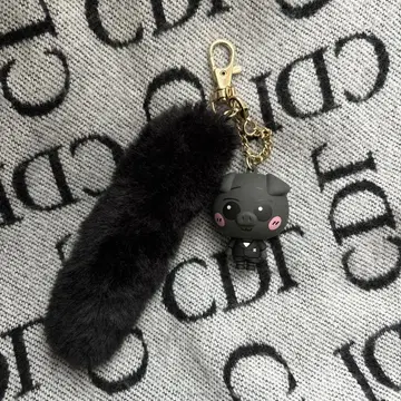 요시노 키타토 블랙 호쿠부