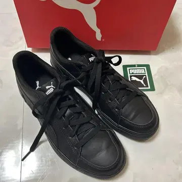 PUMA 코트 포인트 벌크 V2 BG