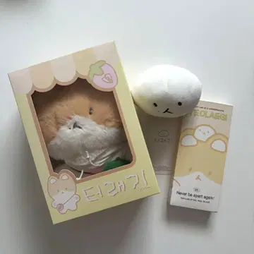 백현 트레기 4세트