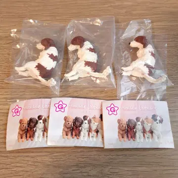 함께 자자, 강아지 코이케르 혼디에 3개