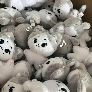 ENHYPEN 엔하이픈 정원 냥쭈고 10cm 봉제 인형