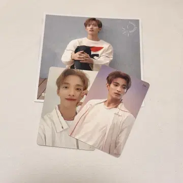 SEVENTEEN 춤추는 꽃잎 도겸 트레이딩 카드