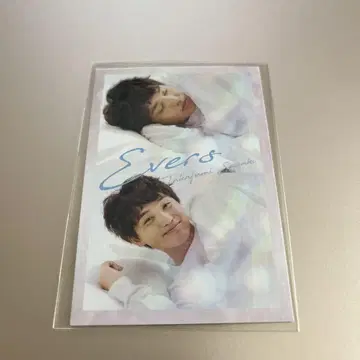 에버스 사사키 오하요 카드 요시모토 콜레카