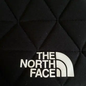 THE NORTH FACE 지오 페이스 박스 토트백