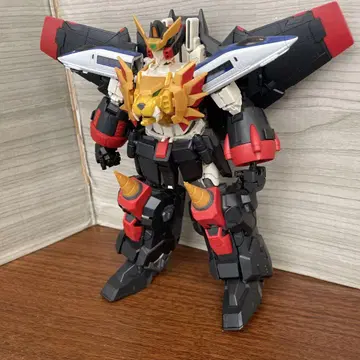 rg 가오가이거 정크 완성품
