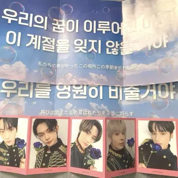 TXT 콘서트 슬로건 포토 카드