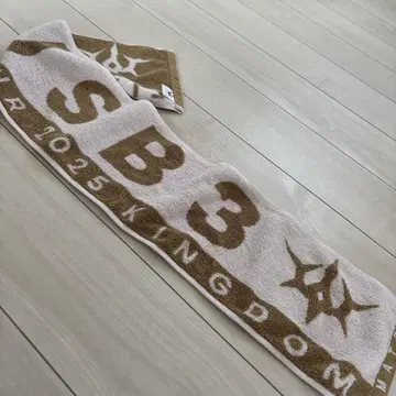 3대 KINGDAM 투어 타월