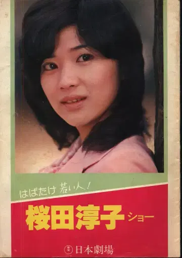 팜플렛 사쿠라다 준코 사쿠라다 준코 쇼! 힘차게 날아라 젊은이!