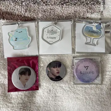 SEVENTEEN 에스쿱스 6