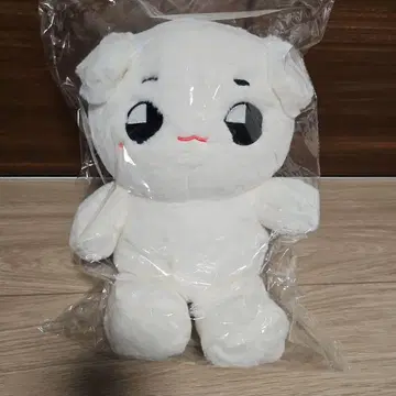 NCT 테용 테용야 40cm