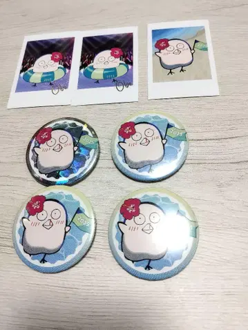 CR 페스티벌 오보 랜덤 폴라로이드풍 카드 캔뱃지 7개 세트