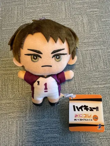 우시지마 와카토시 미니 컬렉션 봉제 인형 하이큐!!