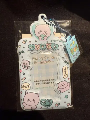 체고심 사진 키링 고양이 고심 트레이딩 카드 케이스