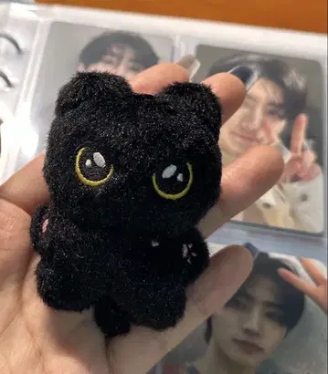 mini 6cm 불가사리형 봉제 인형 ENHYPEN 제이 0730 2