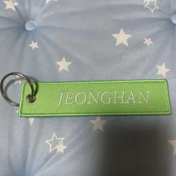 SEVENTEEN 정한 FLIGHT TAG KEYRING