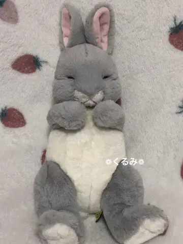 [희귀] 쿨쿨 무릎 토끼 봉제인형 그레이 선레몬