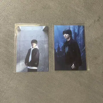 미야카와 타이세이