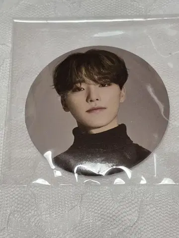 seventeen 디노 캔배지 INCOMPLETE