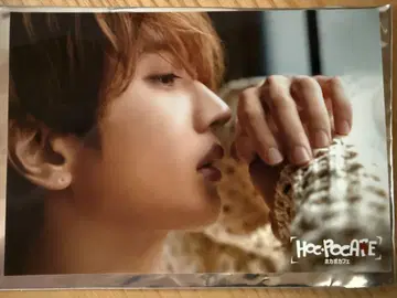 Nissy 호카포카페카페 혜택 포토 카드 엽서