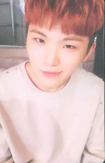SEVENTEEN WOOZI TEEN, AGE WHITE