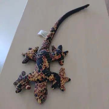 컬러풀 도마뱀