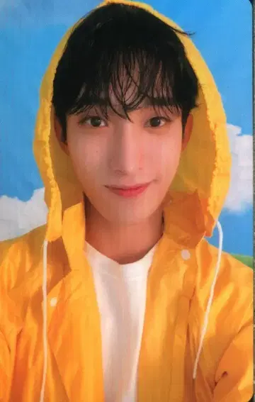 SEVENTEEN DK SEVENTEENTH HEAVEN CARAT