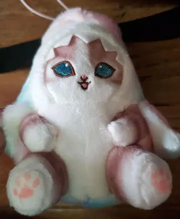 레인보우 컬러 샤메냥