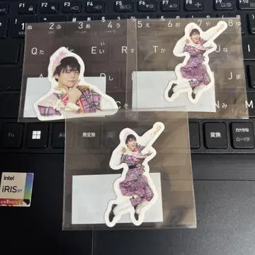 팬더 드래곤 무도관 스티커 나기