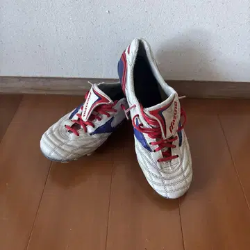 모렐리아 WAVE JAPAN 1000족 한정판