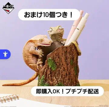 덤 포함 이치방쿠지 D상 크레스티드 게코 파충류