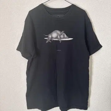 patagonia 아트 프린트 티셔츠 L 블랙