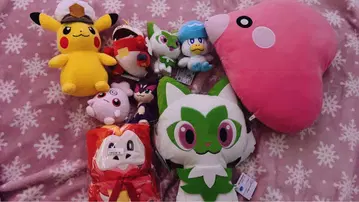 포켓몬 봉제인형 세트