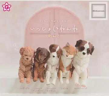 함께 자요~ 강아지~ 전 5종 컴플리트
