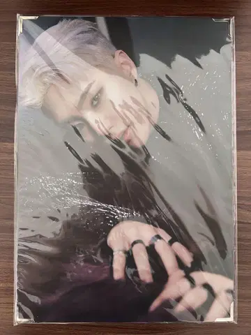 HOSHI PREMIUM PHOTO spider