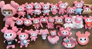 TWICE 모모 백참